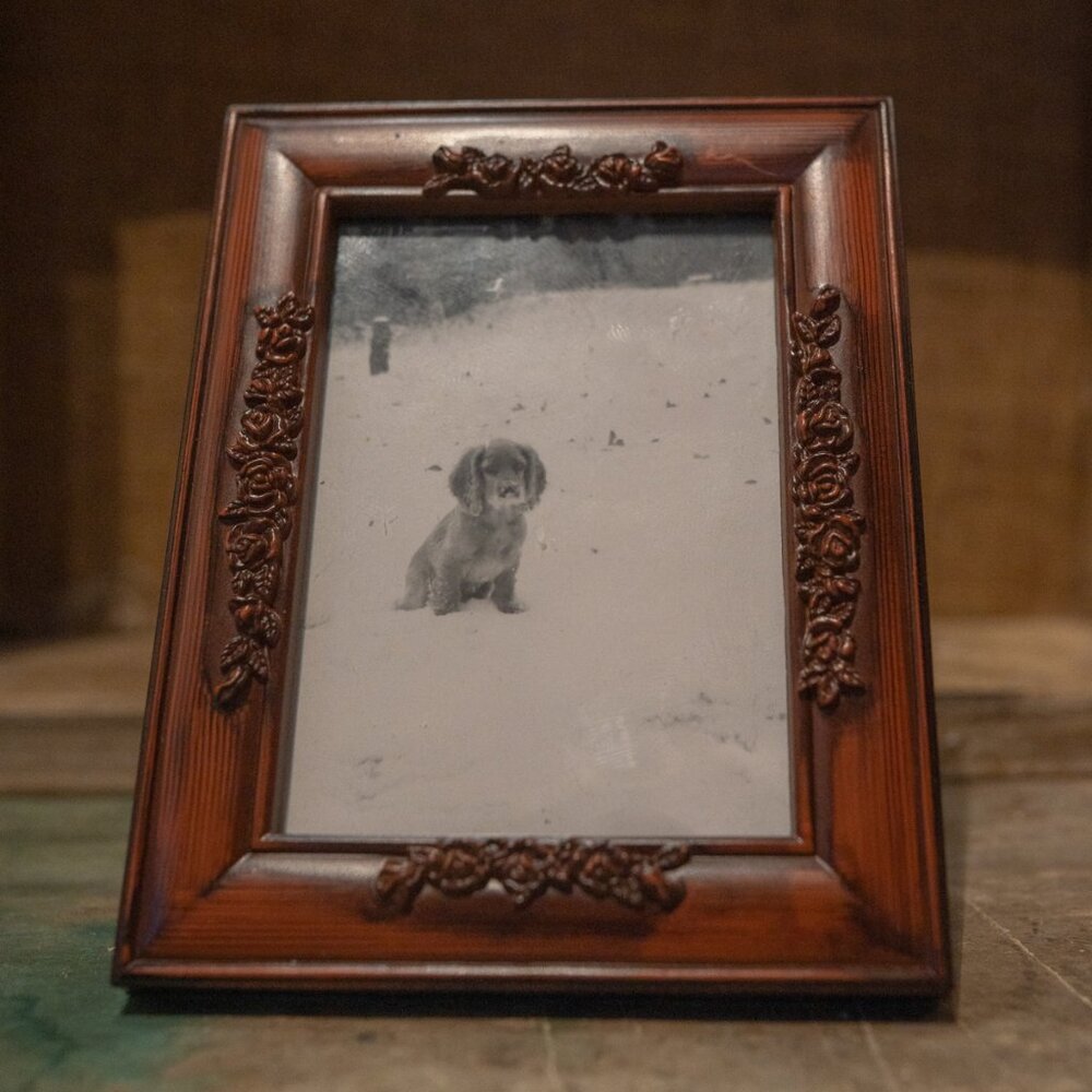 1951 Framed Black & White Photo of a Golden Retriever Puppy